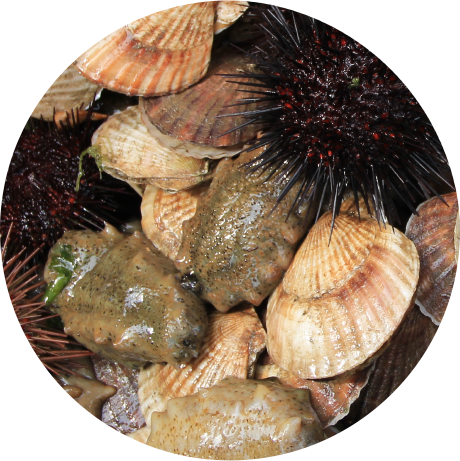 5eedbf4d63a19